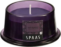 LÕHNAKÜÜNAL KLAASIS KOONILINE MAASIKAS/METSMARJAD 15 H 