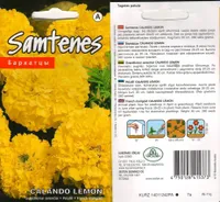 LILLESEEMNED KURZEMES SEKLAS PEIULILL 'CALANDO LEMON' KOLLANE TÄIDISÕIELINE