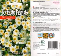 LILLESEEMNED KURZEMES SEKLAS KRÜSANTEEM 'WHITE STARS' VALGE TÄIDISÕIELINE 0,
