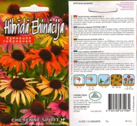 LILLESEEMNED KURZEMES SEKLAS PURPUR-SIILIKÜBAR 'CHEYENNEW SPIRIT H' 10 S