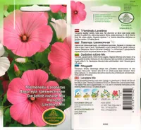 LILLESEEMNED KURZEMES SEKLAS RÕNGASLILL SEGU 1 G