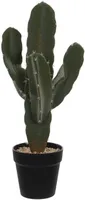 KUNSTTAIM MICA DECORATIONS KAKTUS 25X21X50CM