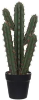 KUNSTTAIM MICA DECORATIONS KAKTUS 20X14X50CM