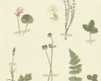 TAPEET FARO 4 30010-1 0,53X10,05M