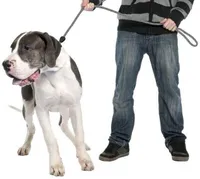 LEMMIKLOOMA JALUTUSRIHM DUVO+ 183CM/10MM HÕBEHALL