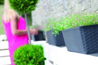 RÕDUKAST PROSPERPLAST RATOLLA 90CM TUMEPRUUN