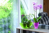 LILLEPOTT PROSPERPLAST ROCKA PLASTIK DIAMEETER 14CM SUITSUHALL