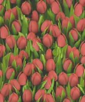 NIISKUSKINDEL SEINAKATE SINTRA DECORATION PUNANE TULP 0,53X10,5M