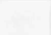 ALUSFLIIS VÄRVITAV SINTRA BASICVLIES 699997 1,06X25M