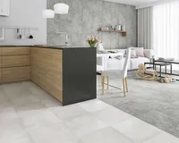 KERAAMILINE PÕRANDAPLAAT PARADYZ PROTEO GRYS 40X40CM