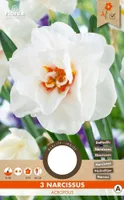 LILLESIBUL TÄIDISÕIELINE NARTSISS FLOREX ACROPOLIS 3TK PAKIS