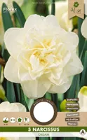 LILLESIBUL TÄIDISÕIELINE NARTSISS FLOREX OBDAM 5TK PAKIS