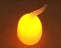 LED KÜÜNAL Ø7X13CM TAIMERIGA PATAREI TOITEL VALGE