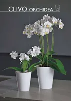 ORHIDEEPOTT CLIVO 12,5CM VALGE