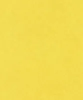 TAPEET B.B HOME PASSION VI 860177 0,53X10,05M