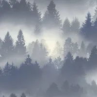 TAPEET B.B HOME PASSION VI 860832 0,53X10,05M