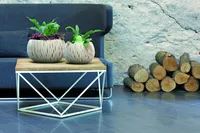 LILLEPOTIÜMBRIS PROSPERPLAST SANDY BOWL PLASTIK Ø37CM MOCCA