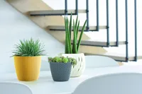 LILLEPOTIÜMBRIS PROSPERPLAST WHEATY PLASTIK Ø16CM KOLLANE