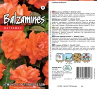 SEEMNED KURZEMES SEKLAS SULTAN-LEMMALTS ATHENA FORMULA ORANGE FLASH 5 S