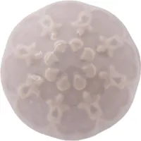 KAPINUPP VÕÕP BEEŽ MUSTRIGA