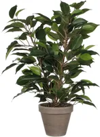 KUNSTLILL MICA DECORATIONS VIIGIPUU Ø30X40CM POTIS Ø11,5 ROHELINE/HALL