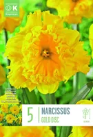 LILLESIBUL KAPITEYN TROMPETNARTSISS "GOLD DISC"