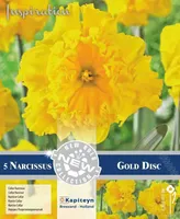 LILLESIBUL KAPITEYN TROMPETNARTSISS "GOLD DISC"