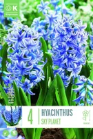 LILLESIBUL KAPITEYN HÜATSINT SKY PLANET