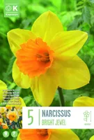 LILLESIBUL KAPITEYN SUURE LISAKROONIGA NARTSISS "BRIGHT JEWEL"