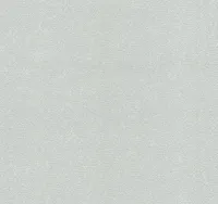 TAPEET DUTCH WALLCOVERINGS NON WOVEN HALL 13337-50