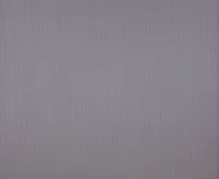 TAPEET DUTCH WALLCOVERINGS NON WOVEN HALL 240-12