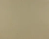 TAPEET DUTCH WALLCOVERINGS NON WOVEN BEHANG UNI LICHT GEEL 7102-2