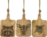 LÕIKELAUD PILDIGA 30X19X2CM PUIT