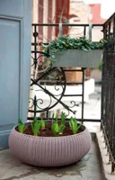 LILLEPOTIÜMBRIS COZY 22,8L LILLA