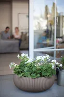 LILLEPOTIÜMBRIS COZY 22,8L PRUUN