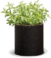 LILLEPOTIÜMBRIS CYLINDER 7L PRUUN