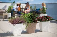 LILLEPOTT FORM-PLASTIC DUNES KANDILINE PRUUN 40CM