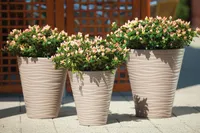 LILLEPOTT FORM-PLASTIC DUNES ÜMAR PRUUN 35CM