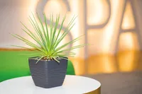 LILLEPOTT FORM-PLASTIC SAHARA KANDILINE HALL 17CM