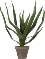 KUNSTLILL MICA DECORATIONS ALOE VERA POTIS 45X28CM
