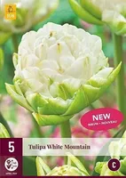 LILLESIBUL JUB TULP WHITE MOUNTAIN 5TK PAKIS