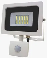 LED PROŽEKTOR+INFRA ACUMA 10W IP65 VALGE 4500K