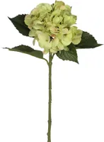 KUNSTLILL MICA DECORATIONS HORTENSIA ROHELINE 51CM