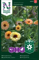 LILLESEEMNED SAIALILL CANTALOUPE