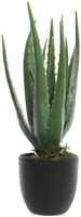 KUNSTTAIM AALOE 14CM, PLASTIK POTIS