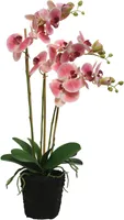 KUNSTLILL ORHIDEE POLÜESTER 62CM, POTIS
