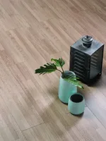 LAMINAATPARKETT 8MM TAMM DEDICACE BELEM 1-LIPP 5G 4V