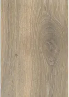 LAMINAATPARKETT ALSAPRO 8MM PROFLOOR 33 TAMM TAZA 1-LIPP