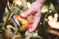 AIAKÄÄRID SOLID SP240