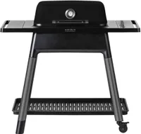 GAASIGRILL EVERDURE BY HESTON BLUMENTHAL FORCE MUST